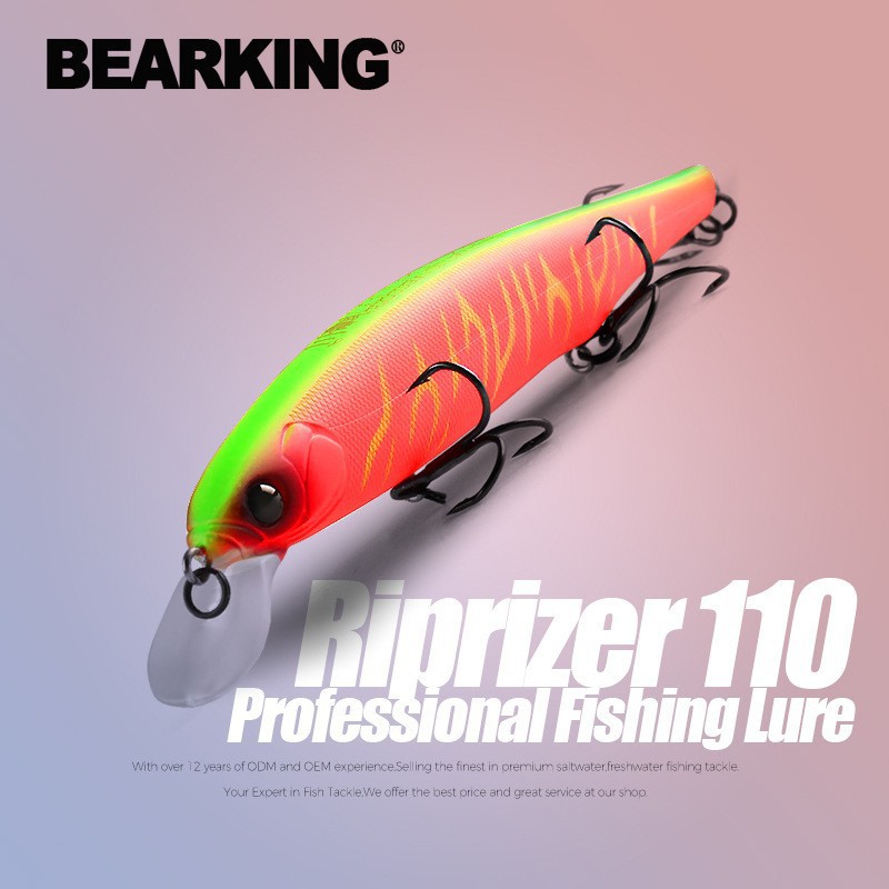 Fishing Lure Crankbait - BEARKING-Appât Élpour la pêche à la