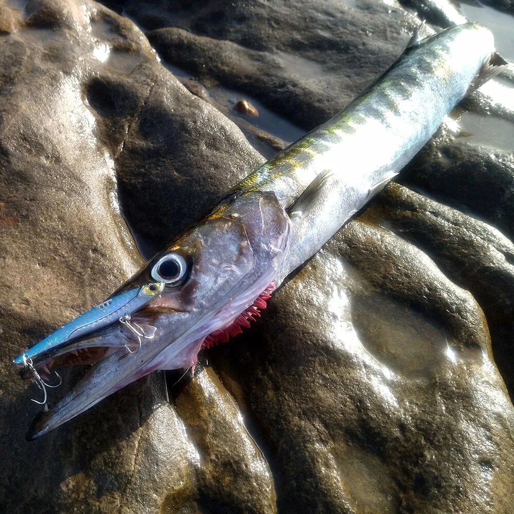 GOBAIT VIB leurre de pêche 20g - Fishing Lure Blade Bait avis et prix