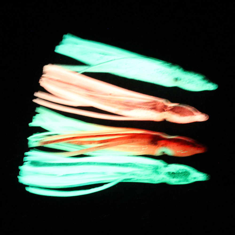 10 Pièces de leurres souples e - Fishing Lure Buzzbait avis et prix